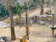 -济南野生动物世界