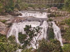 -海南热带雨林国家公园吊罗山景区