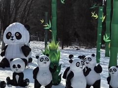 -沈阳奥体冰雪嘉年华