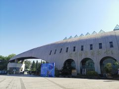 -自贡恐龙博物馆