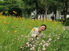 -尚贤河湿地