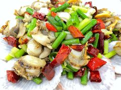 葱爆威海扇贝-郭姐·威海渔村(黄兴路店)