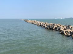 -东疆建设开发纪念公园