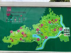 -紫颐香薰山谷景区