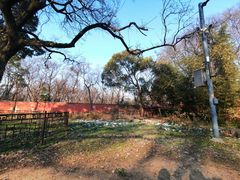 -紫金山山顶公园