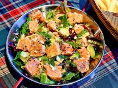 -百好乐宠物友好餐厅(朝外大街店)