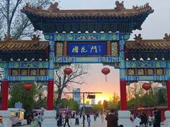 -曹州牡丹园