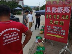 -从化深英荔枝黄皮龙眼采摘园