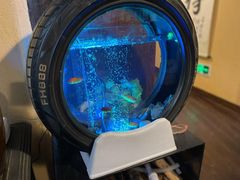 -卧龙堡客栈·中餐厅(古北水镇店)