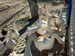 -东郊湿地公园