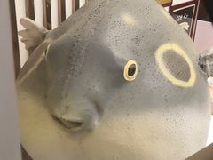 -肆月河豚·新淮扬(金融街店)