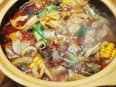 -粉灯牛腩牛杂煲·鸡煲(双井店)
