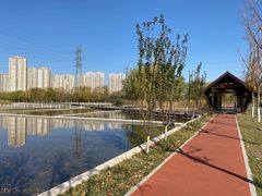 -永定河休闲森林公园