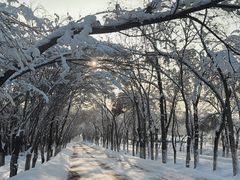 -水磨沟公园