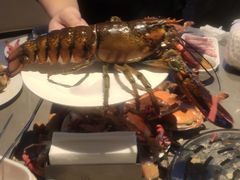 波斯顿龙虾-一方渔歌蒸汽海鲜自助(文化路万达广场店)