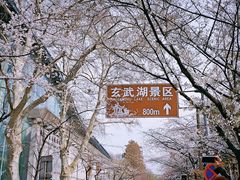 -鸡鸣寺