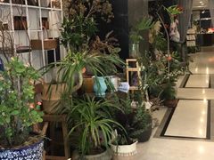 -东方大班·足道·采耳·疗愈SPA(丽都店)