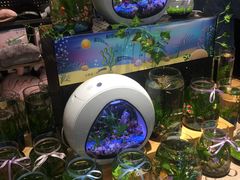 -酷乐潮玩(城西银泰城店)