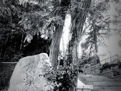 -龙福祥餐馆