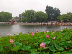 -后海公园