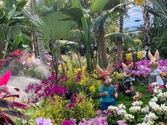 -北京植物园-展览温室
