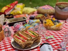 -春花秋色城市公园