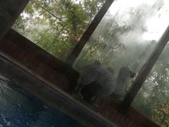-芭东小镇温泉