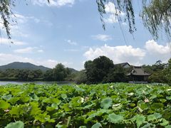 -西湖游船