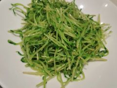 清炒豆苗-春发生饭店·非遗(南院门店)