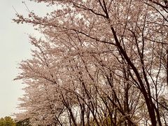 -南京市江宁方山