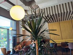 -Wagas沃歌斯(汇智店)