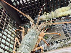 -班赞海鲜市场