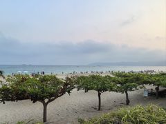 -渔家火锅·海鲜自助餐·演艺(亚龙湾天域酒店)