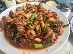 -生态苑农庄(十里画廊遇龙河店)