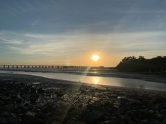 -宝安西湾红树林湿地公园