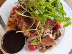 -百好乐宠物友好餐厅(朝外大街店)