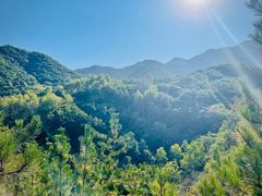 -玉渡山自然风景区