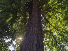 -天津盘山风景名胜区