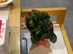 -浪里寻·臻牛养生牛肉火锅(方圆荟店)