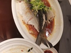 葱油淋鱼-粤·向群饭店(泮塘路店)