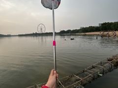 -济南国际园博园