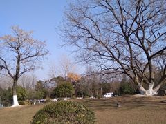 -南京市江宁方山