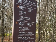 -上海长兴岛郊野公园