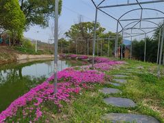 -杭州屏风山越野车营地·团建别墅轰趴民宿