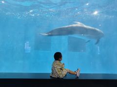 -福州罗源湾海洋世界旅游区