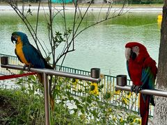 -水上乐园·欢乐世界