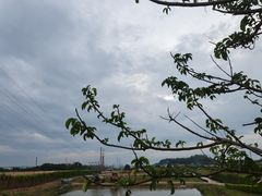 -长洲岛