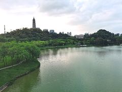 -顺峰山公园