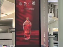 -长沙黄花国际机场-T1航站楼