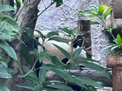 -灵玲国际马戏城